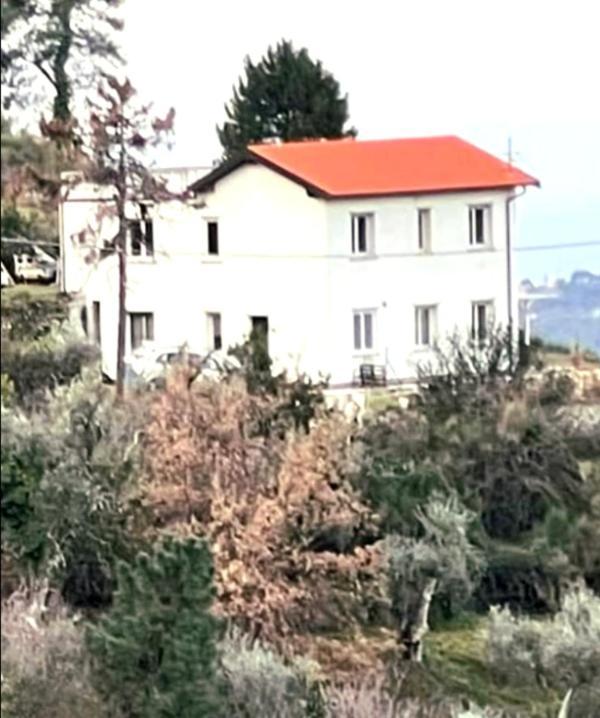 Villa Dei Sogni, With Private Pool ,Roof Terrace And Spectacular Views Of Monaco Ans Liguria Mountains Vallebona Exterior photo